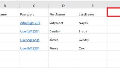 How to Write Data in Excel Using Selenium?