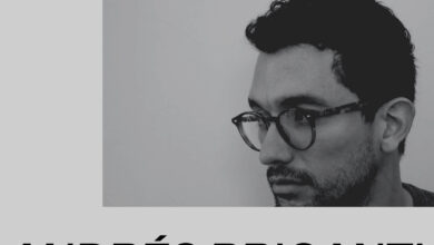 Designer Spotlight: Andrés Briganti | Codrops