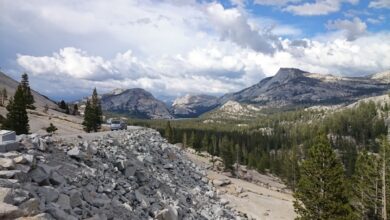 More Good Programming Quotes, Part 6