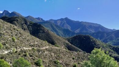 Lessons From 9 More Years of Tricky Bugs